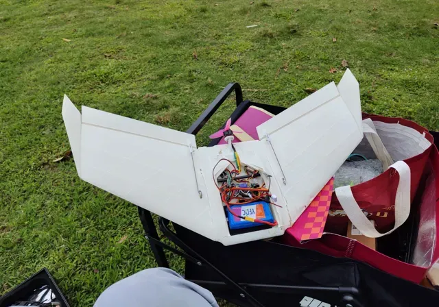 Breeze Model X [SUB250 FPV Flying Wings] RC plane — Image 6 of 12