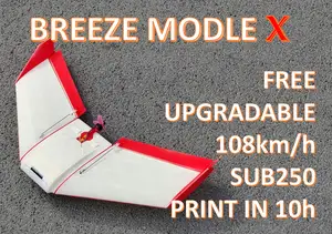 Breeze Model X [SUB250 FPV Flying Wings] RC plane