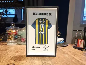 Super Lig - Fenerbahce SK Moussa Sow NR. 7 jersey