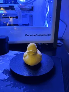 Turtle Shell Duck