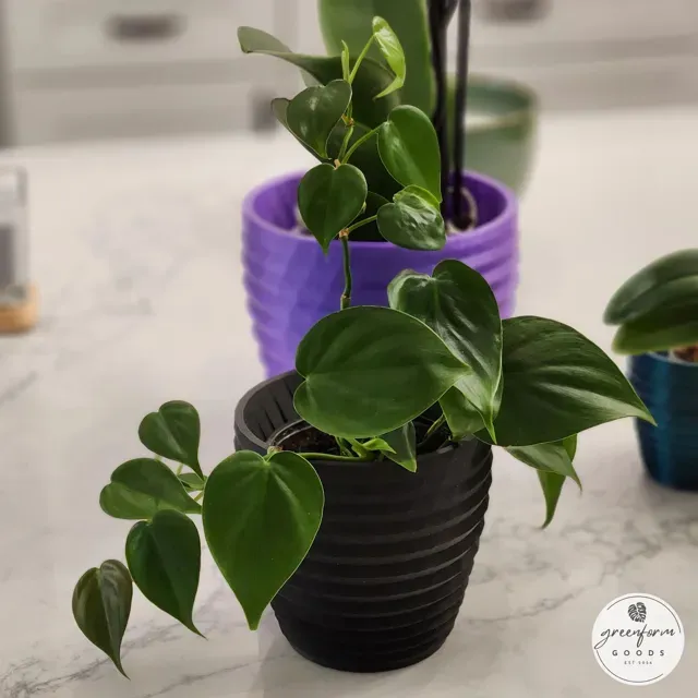 Geometric Planter with Subtle Twisting Rings — Фото 7 из 9