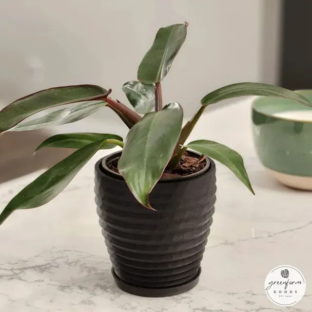 Geometric Planter with Subtle Twisting Rings — Фото 8 из 9