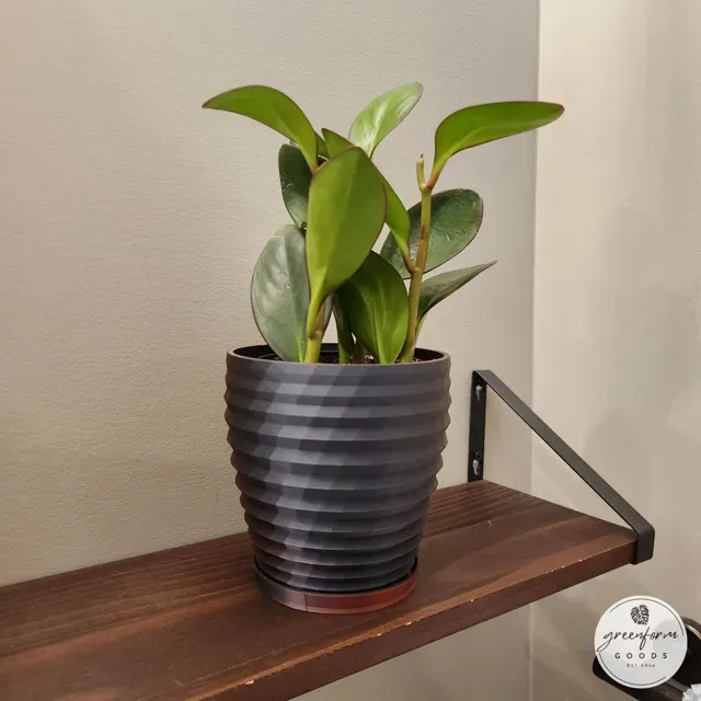 Geometric Planter with Subtle Twisting Rings — Фото 4 из 9