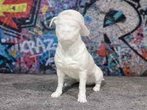 American Pit Bull Terrier with Cap - Animal - Dog