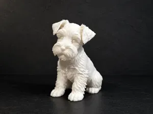 Schnauzer Puppy - Dog - Animal - Decor