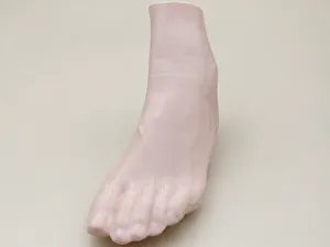 Human Left Foot Scan