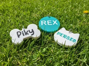 Customizable Pet Tags – Dog & Cat Name Tags