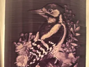 Wood Pecker Night Light
