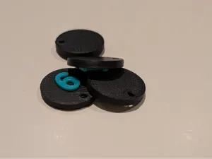 Customizable Numbered Token / Keychain