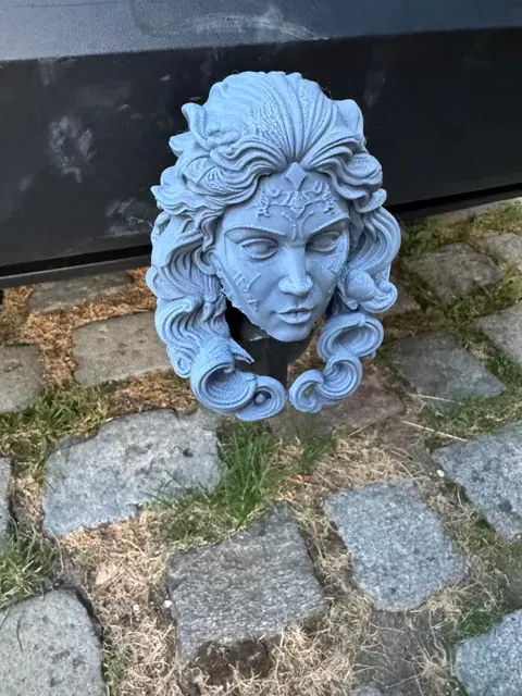 Sirene Trailer Hitch Cover — Image 3 of 5