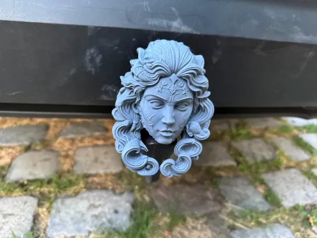 Sirene Trailer Hitch Cover — Image 4 of 5