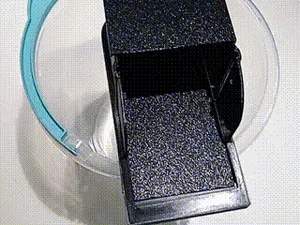 Mouse Trap