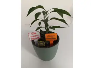 Plant Label Create Labels as Unique as Your Garden