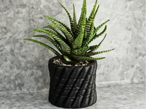 Cloth flower pot 8