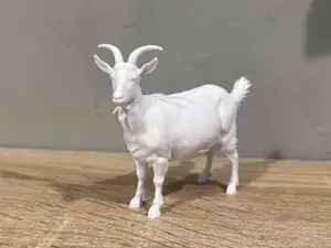 Goat - Animal