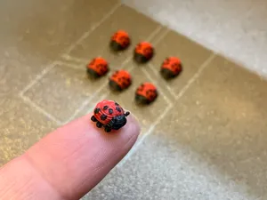 Mini Ladybug