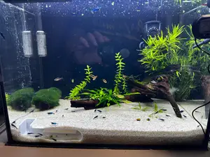 Aquarium shrimp cave - quick and easy to print