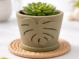 Urban Jungle Topf mit Monstera Magie