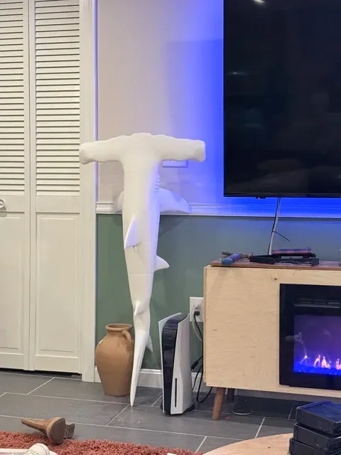 4ft hammerhead — Фото 2 из 2