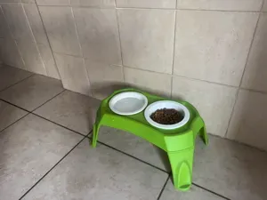 Cat Bowl