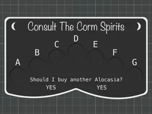 Corm Display Board - Consult The Spirits