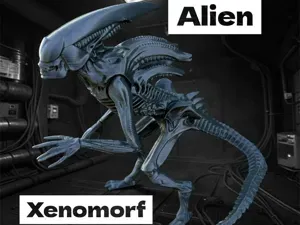 Alien, xenomorph from Prometheus, Covenant