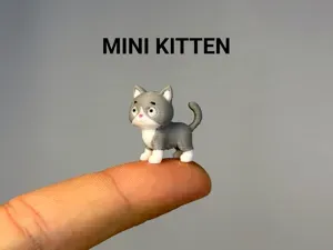 Mini Kitten