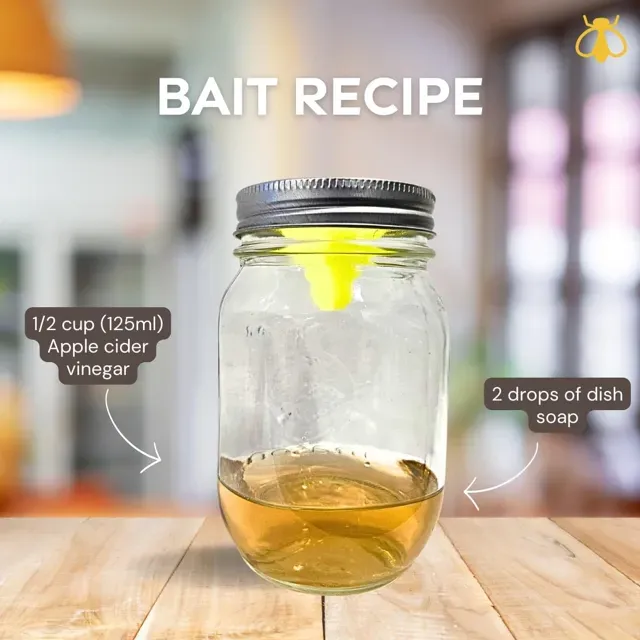 Mason Jar Fruit Fly Trap - Only 8g of Filament — Image 2 of 4