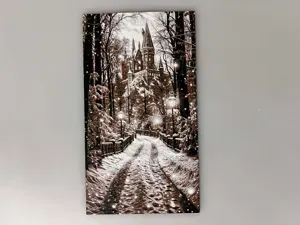 Harry Potter Hogwarts Castle Snowy Trail