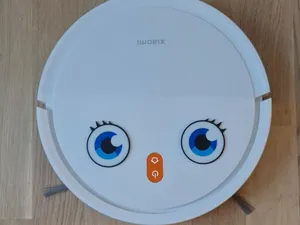 Olga - Robot vaccum eyes!