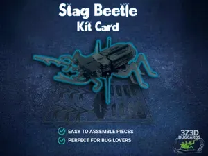Stag Beetle Insect Anatomy STEM Kit Card