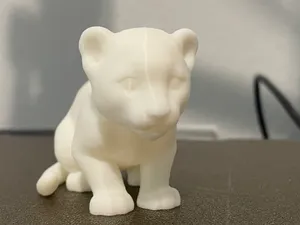 Lion Cub