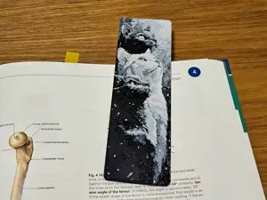 Cat Trio - Bookmark