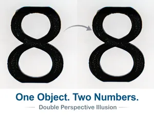 Number 88 Optical Illusion (10-99 available)