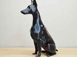 Doberman pose élégante
