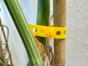 Reusable snap-lock (plant) tie