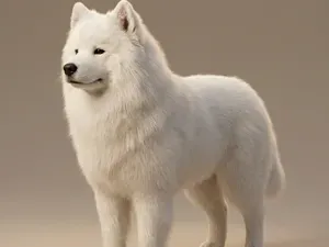 Cucciolo di Samoiedo Stilizzato
