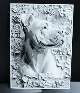 Staffy