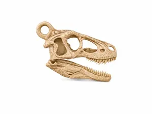 Velociraptor Skull | Fossil Keychain