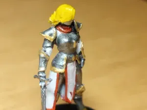 DnD Paladin Female 28mm