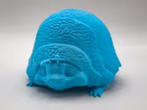 TukTuk - Raya