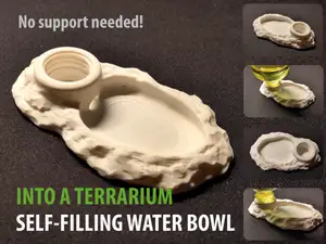 Into a terrarium, self filling water rocky bowl