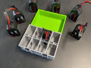 6S LiPo Storage & Transport Case