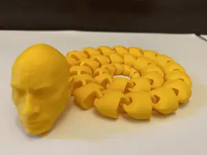 Dwayne The Snake Johnson (The Rock)