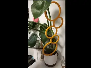 Practical staking plant/ flower support