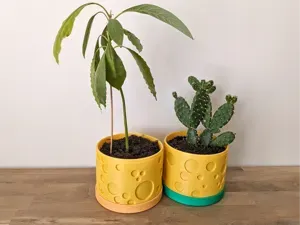 Cheesy Delight - Playfull Planter with Tray