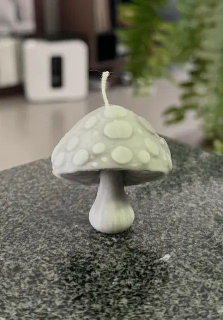 Design 3/30 — Mushroom Candle Mold — Фото 4 из 5