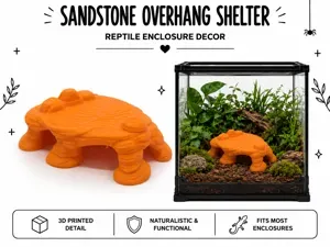 Sandstone Overhang Shelter – Extended Desert Rock