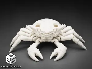 Flexi Poseable Articulated Skeleton Crab