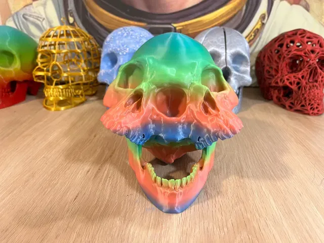 Cojoined Skull [Remix] — Фото 4 из 7
